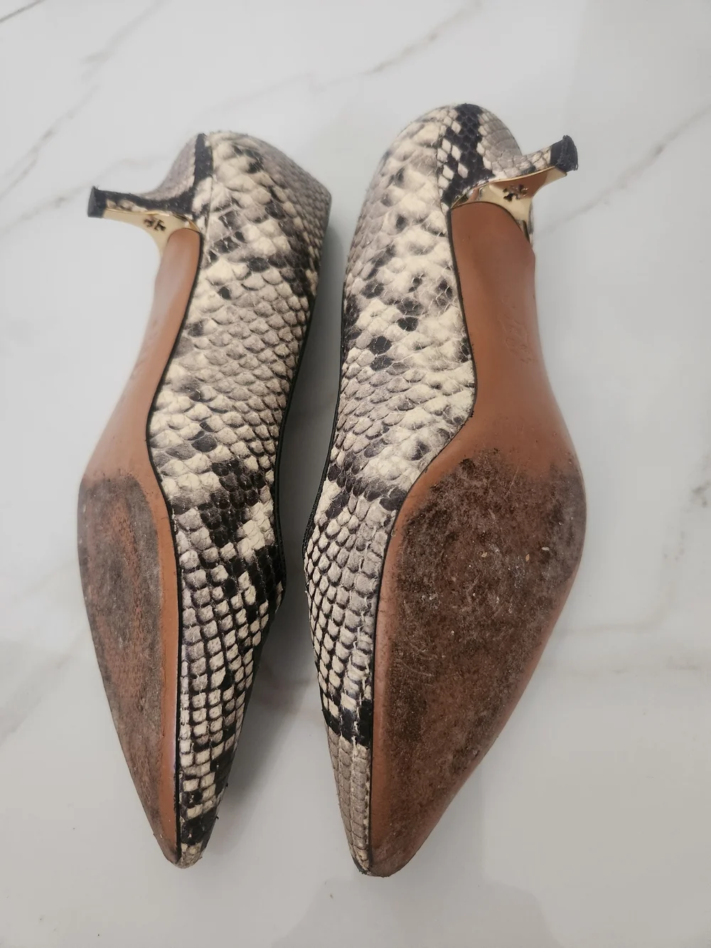 Tory Burch Women's Snake-Print Pointed Toe Pumps in Neutral